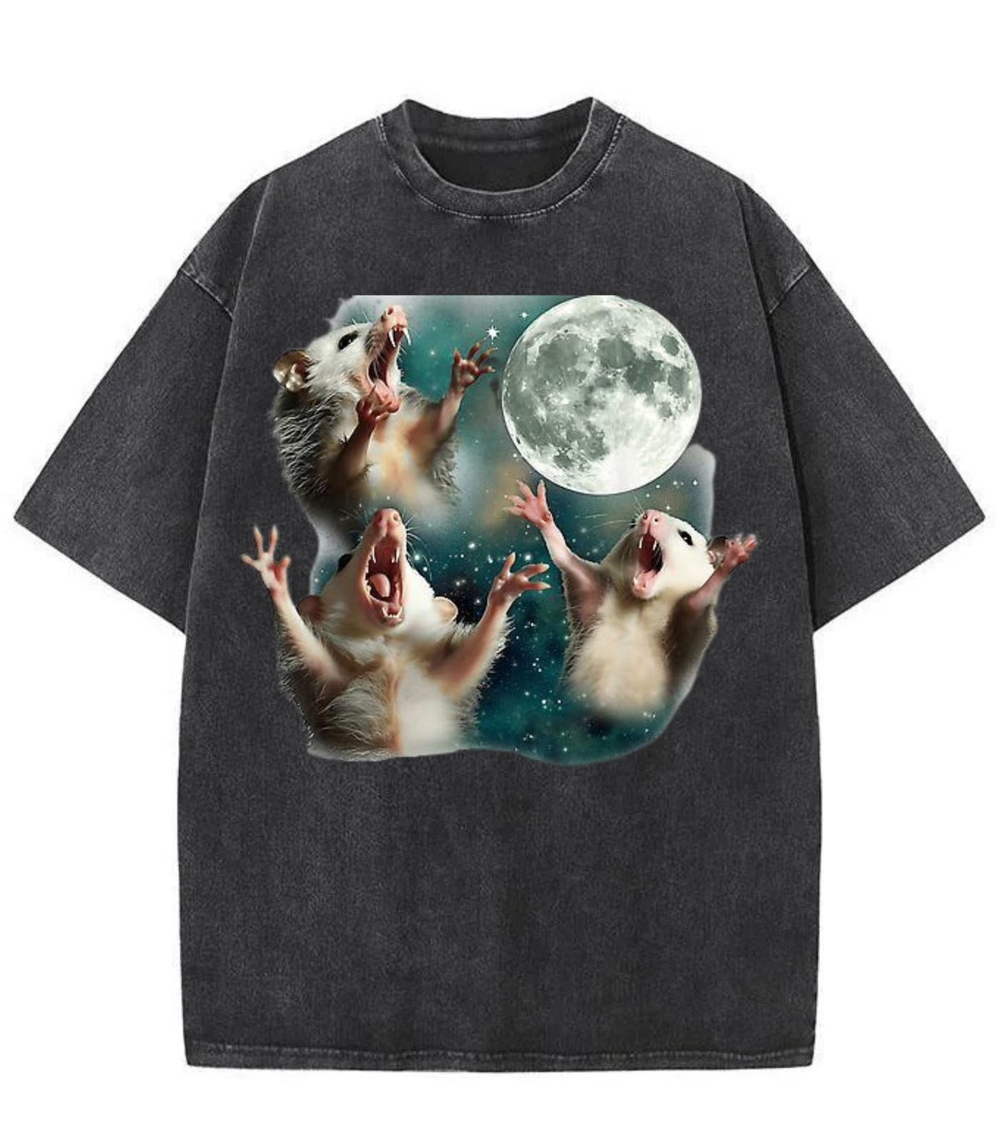 Washed Moon Opossum Graphic Streetwear Tee