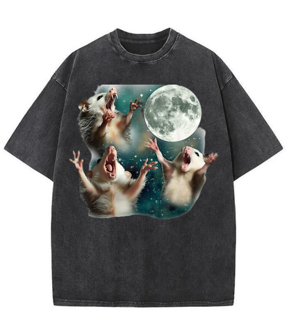 Washed Moon Opossum Graphic Streetwear Tee