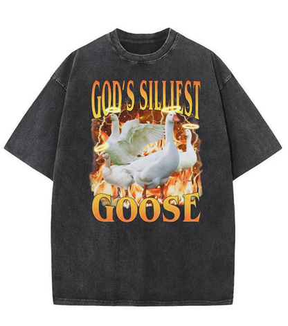 Washed God’s Silliest Goose Graphic Tee