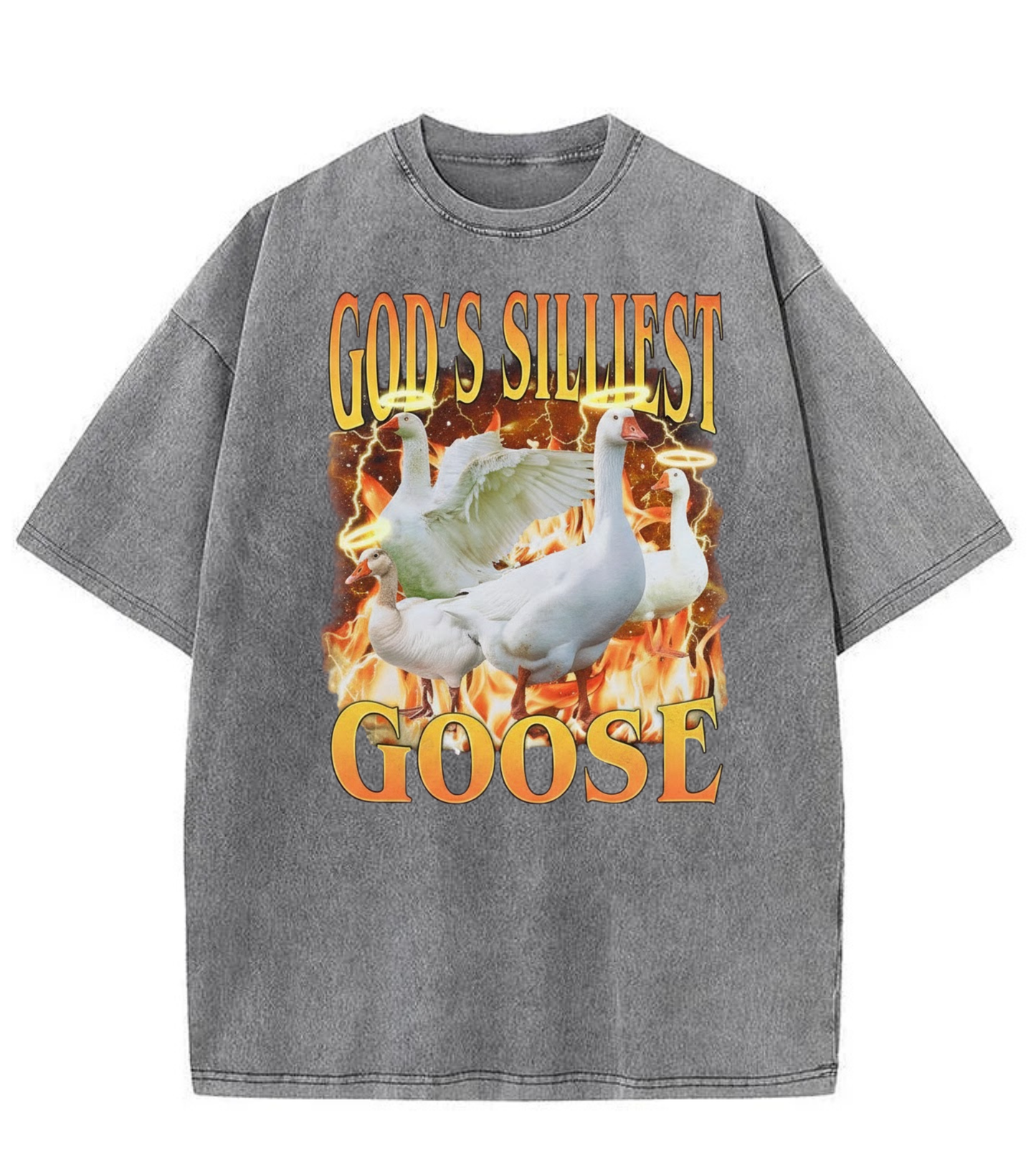 Washed God’s Silliest Goose Graphic Tee