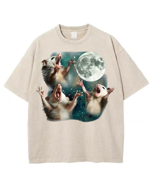 Washed Moon Opossum Graphic Streetwear Tee
