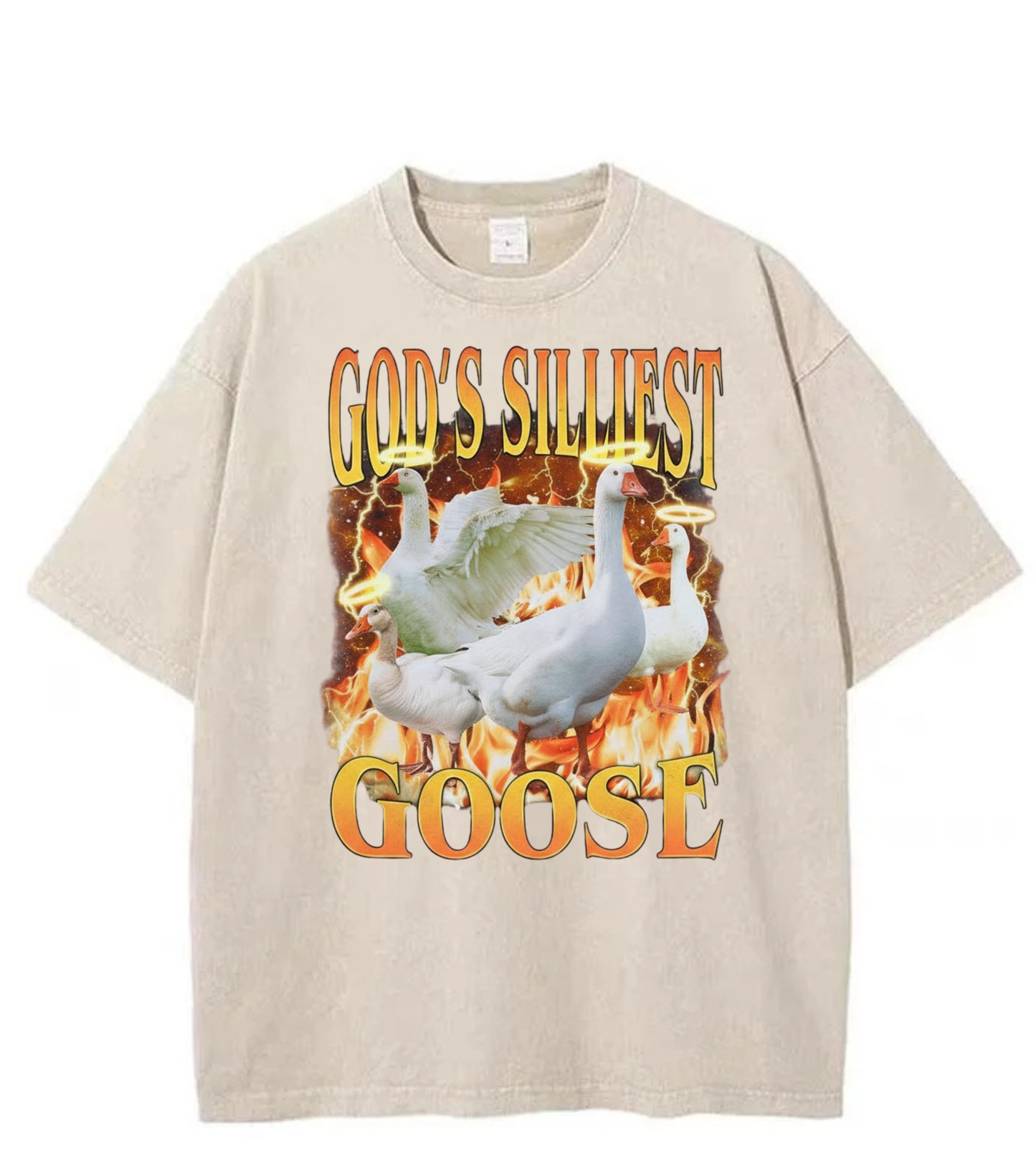 Washed God’s Silliest Goose Graphic Tee