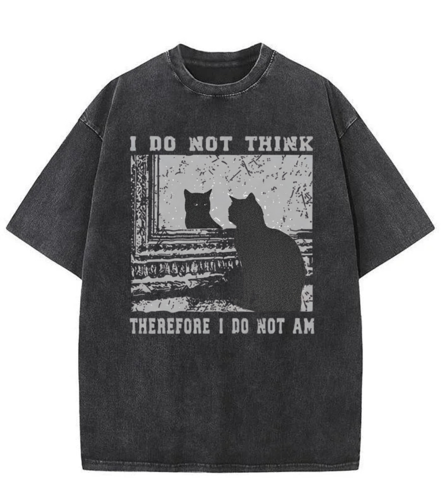 Washed Cat Mirror Graphic Streetwear Tee