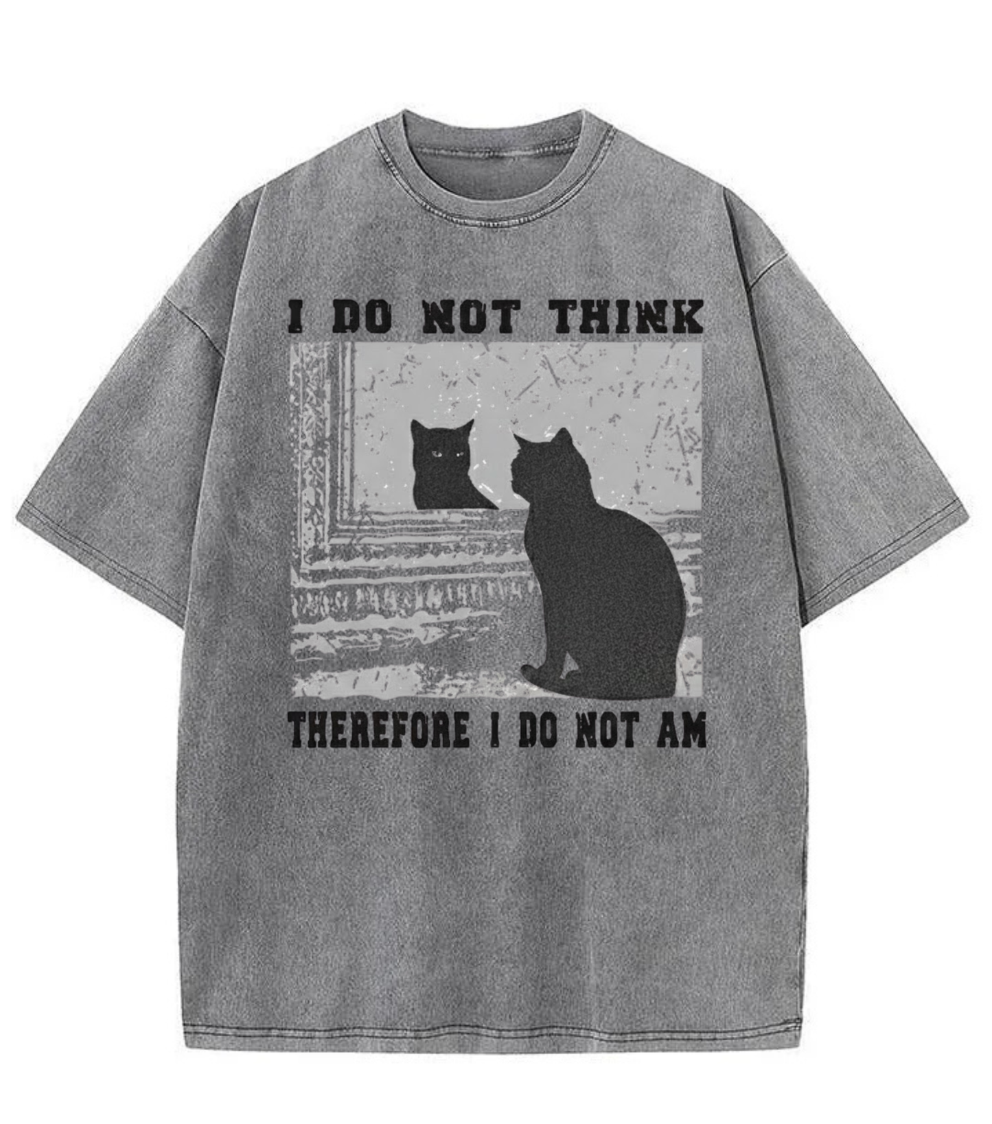 Washed Cat Mirror Graphic Streetwear Tee