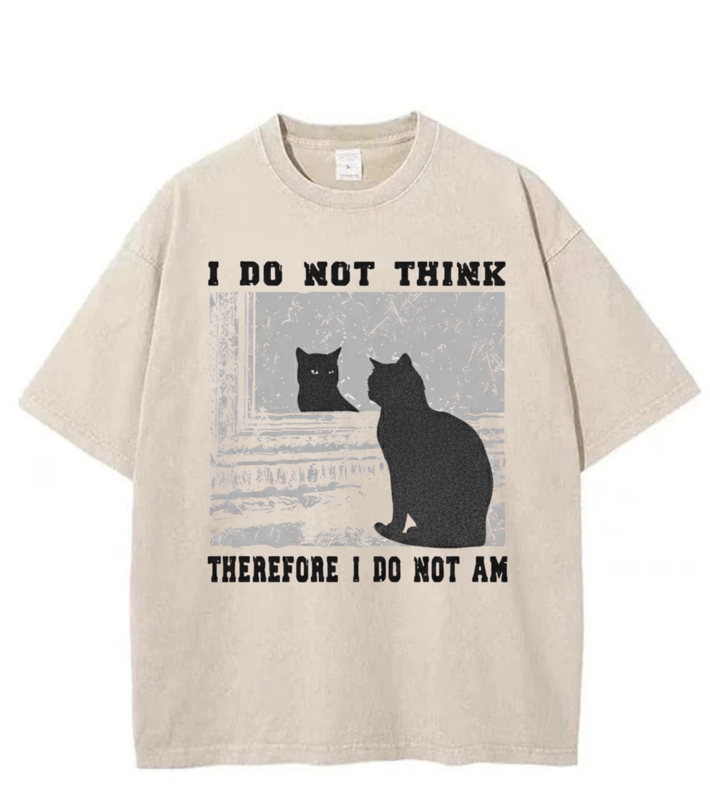 Washed Cat Mirror Graphic Streetwear Tee