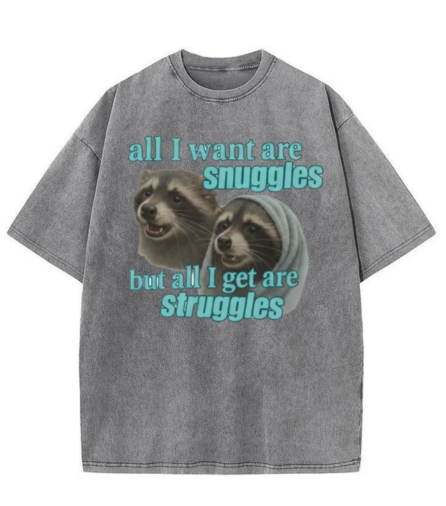 Washed Raccoon Snuggles Graphic Tee