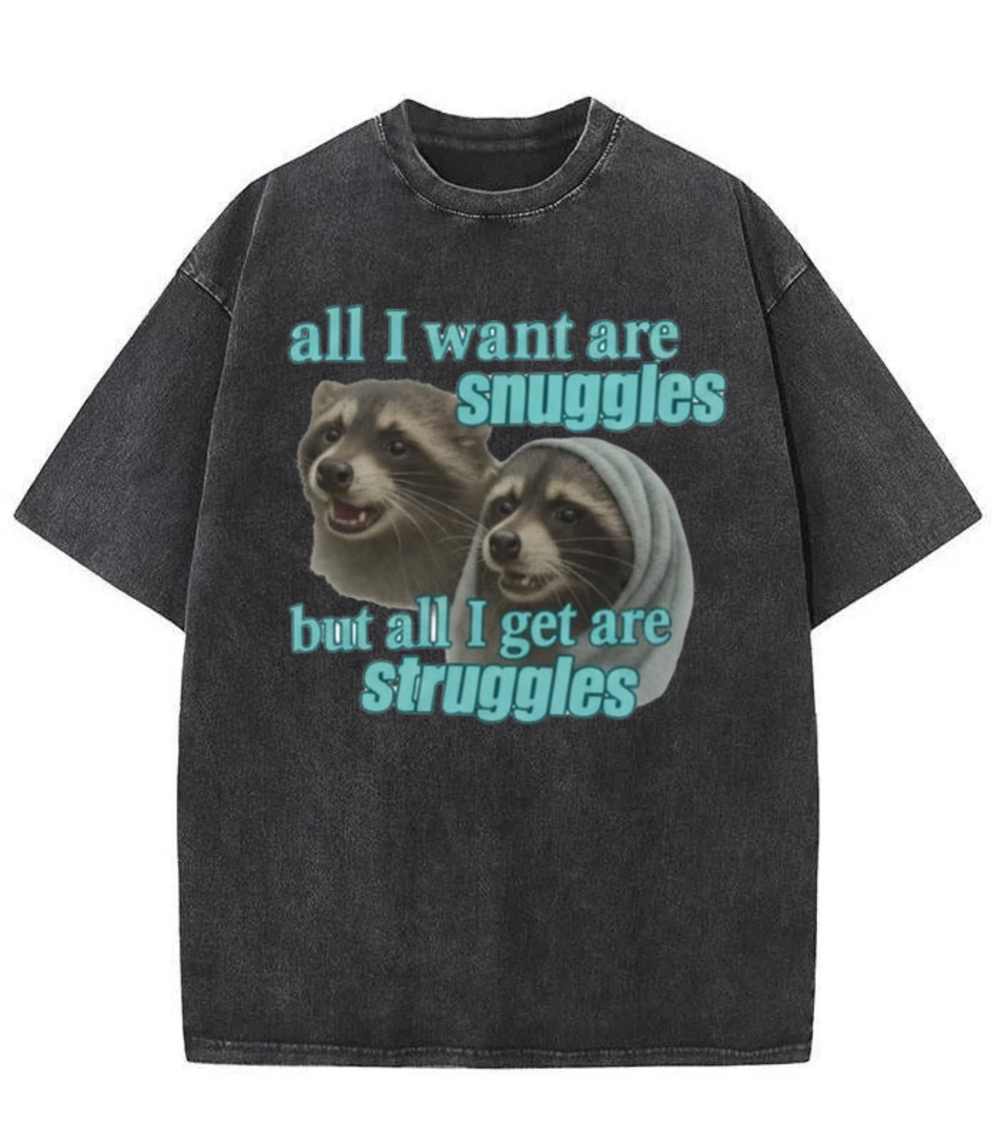 Washed Raccoon Snuggles Graphic Tee