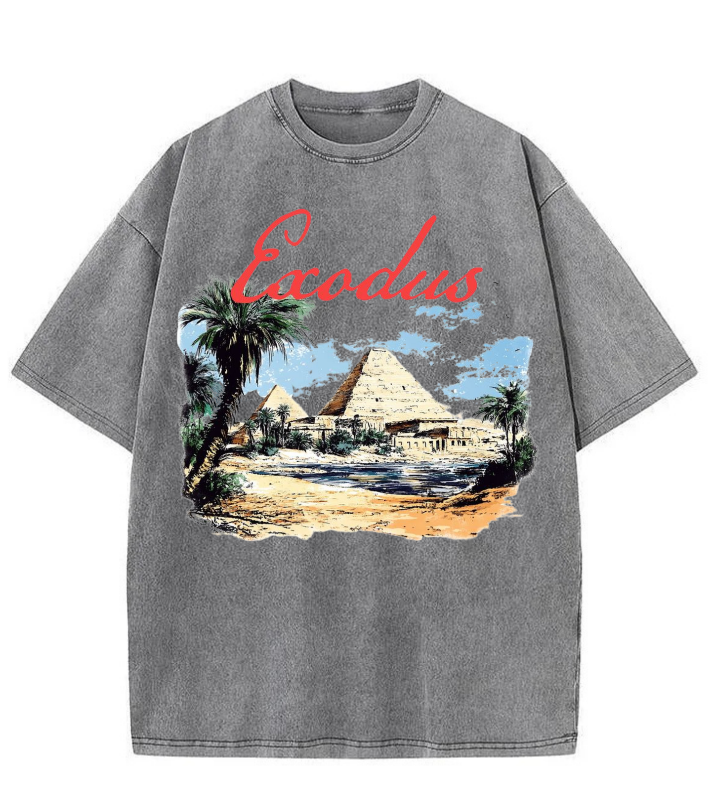 Washed Exodus Desert Graphic Streetwear Tee