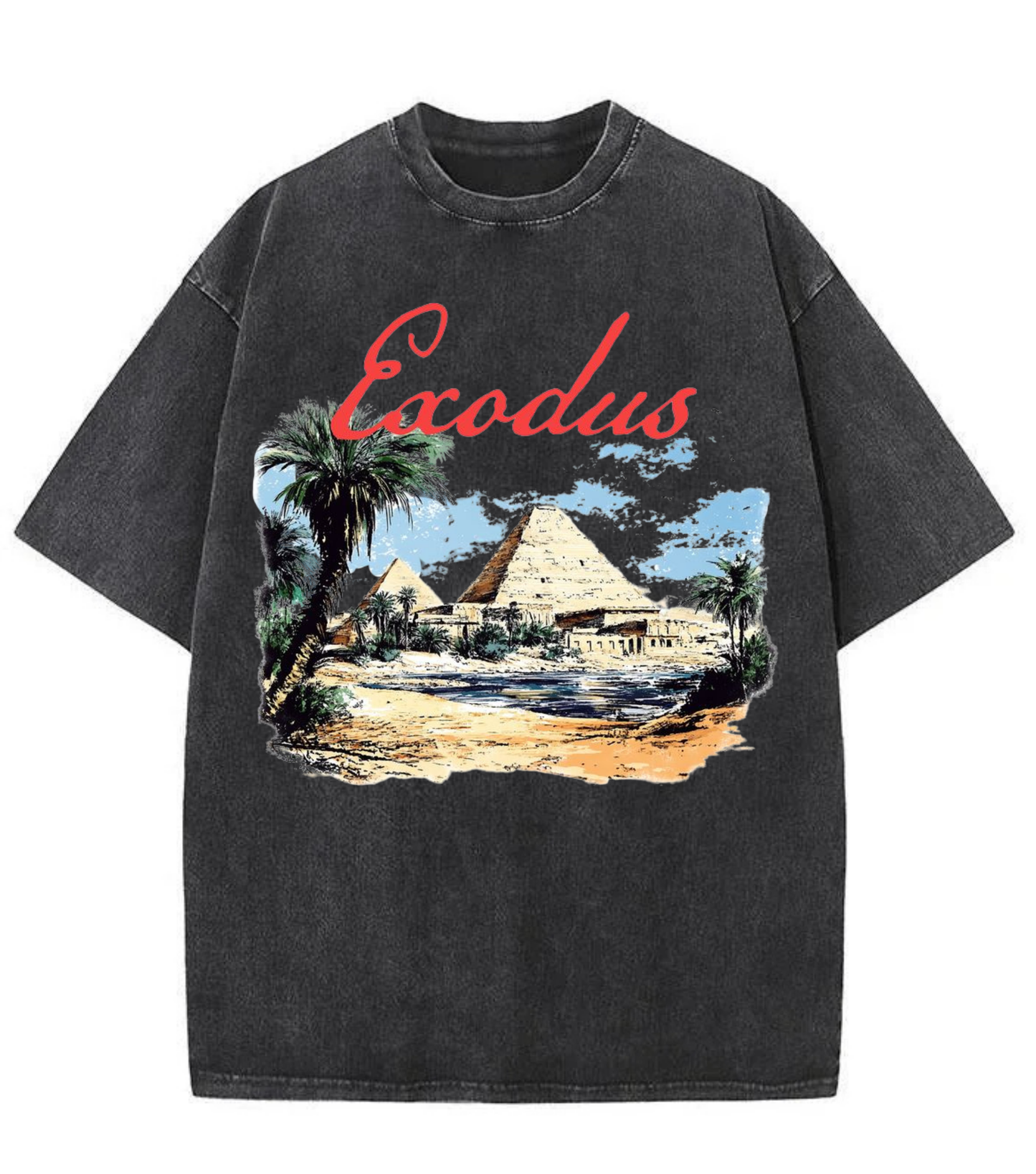 Washed Exodus Desert Graphic Streetwear Tee
