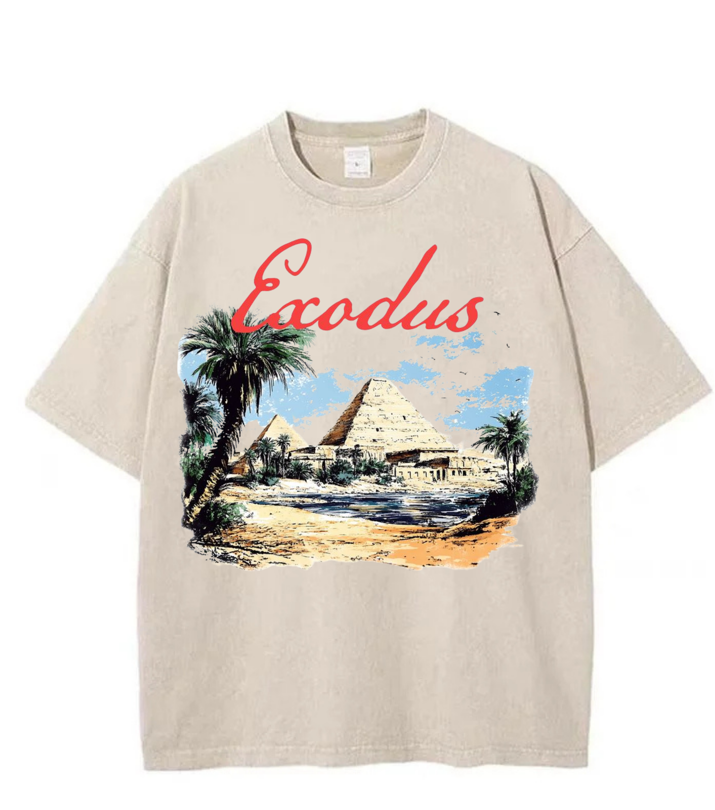 Washed Exodus Desert Graphic Streetwear Tee