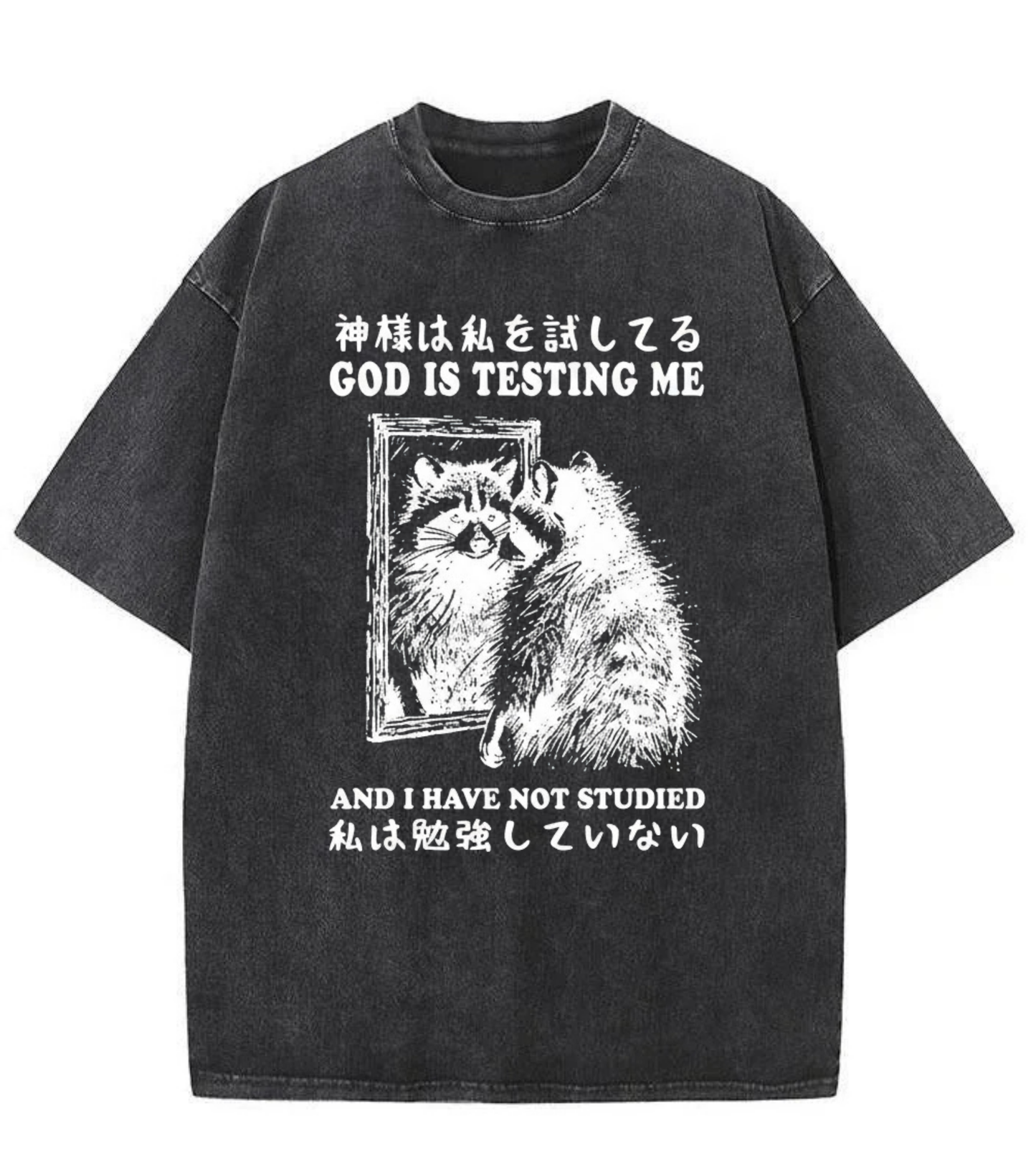 Washed God Is Testing Me Graphic Tee