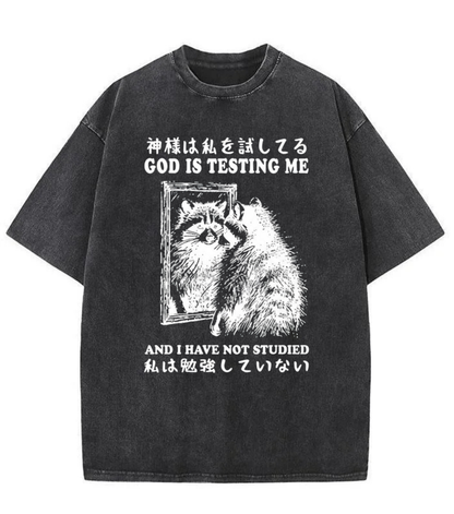 Washed God Is Testing Me Graphic Tee