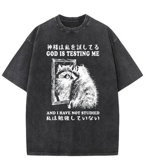 Washed God Is Testing Me Graphic Tee