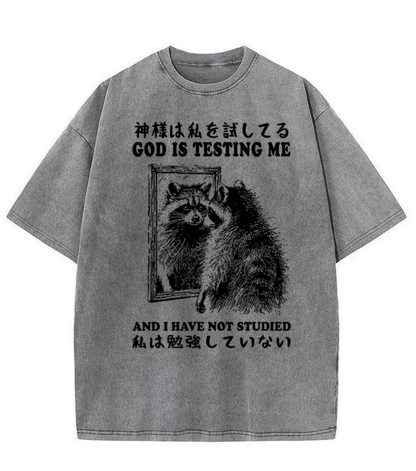 Washed God Is Testing Me Graphic Tee