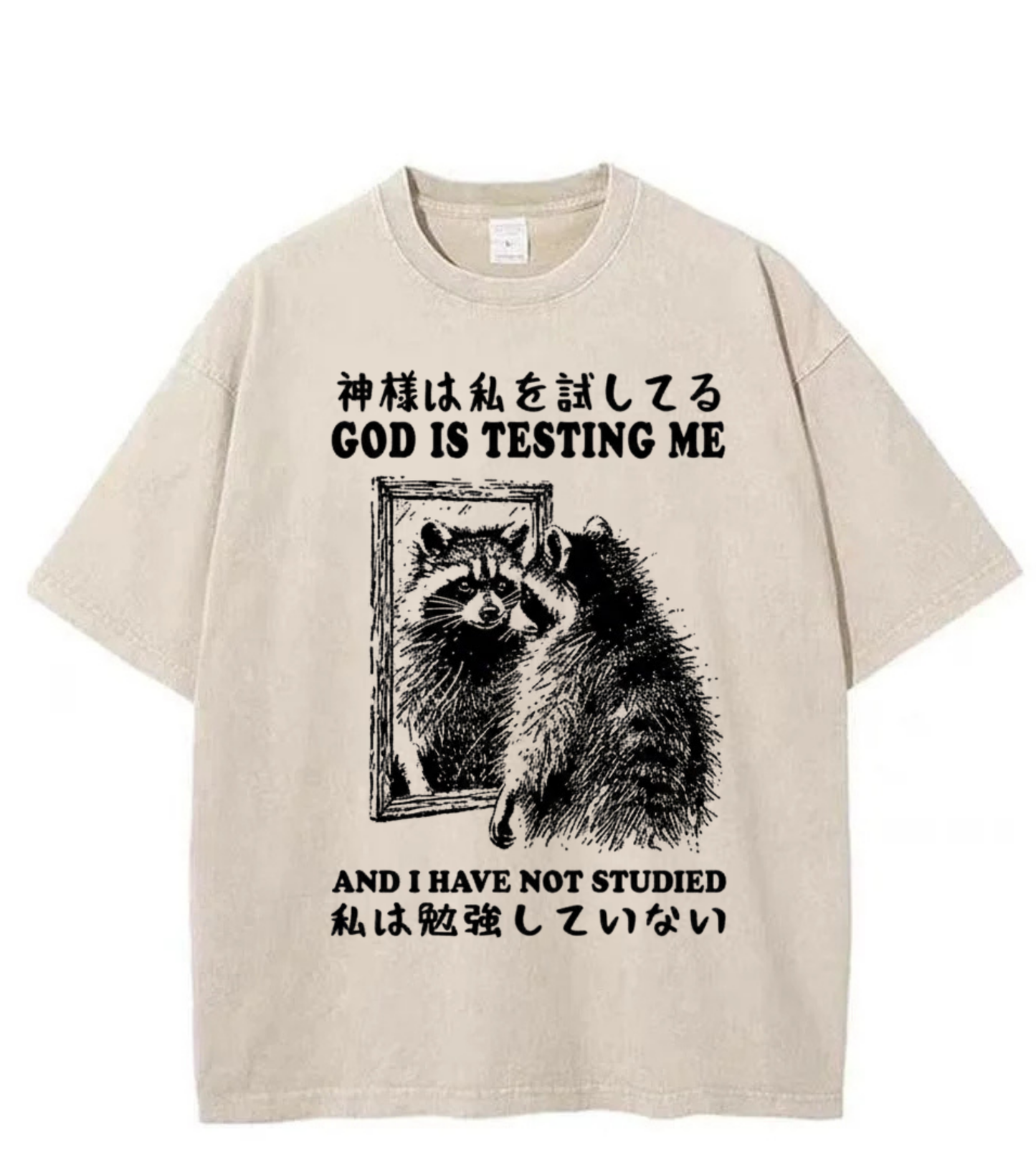Washed God Is Testing Me Graphic Tee
