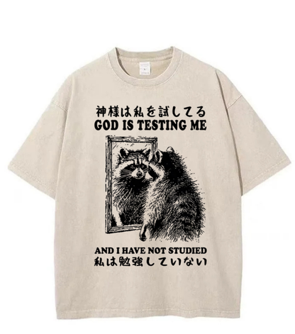 Washed God Is Testing Me Graphic Tee
