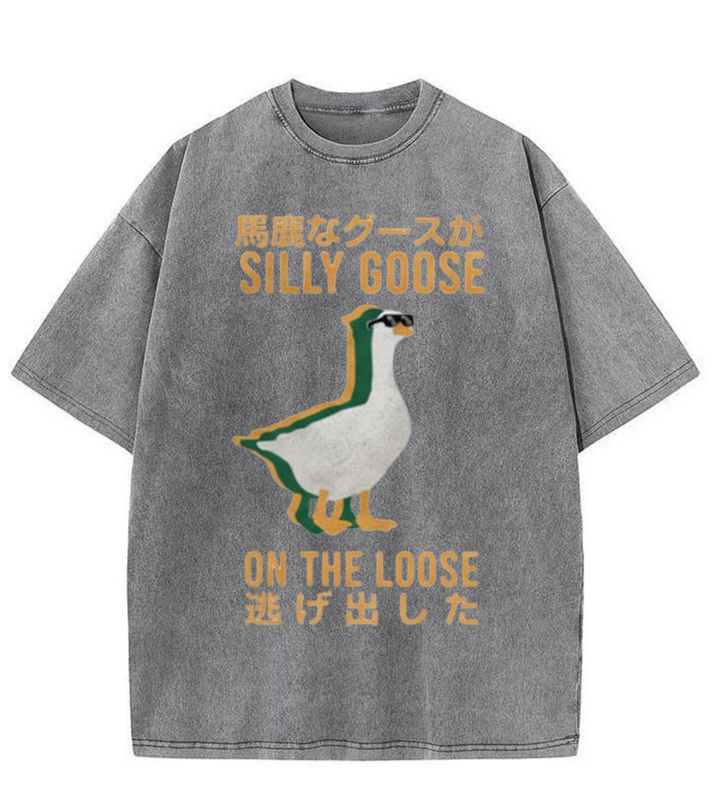 Washed Silly Goose Graphic Streetwear Tee