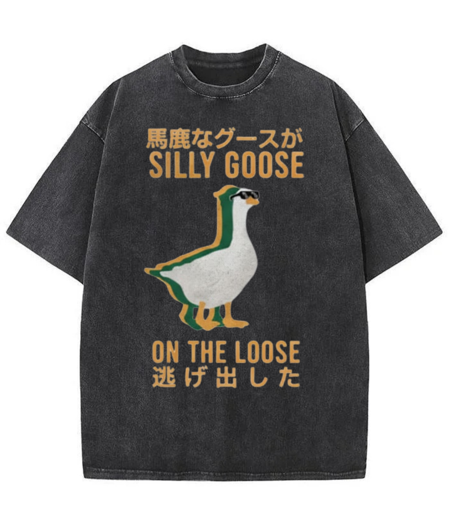 Washed Silly Goose Graphic Streetwear Tee