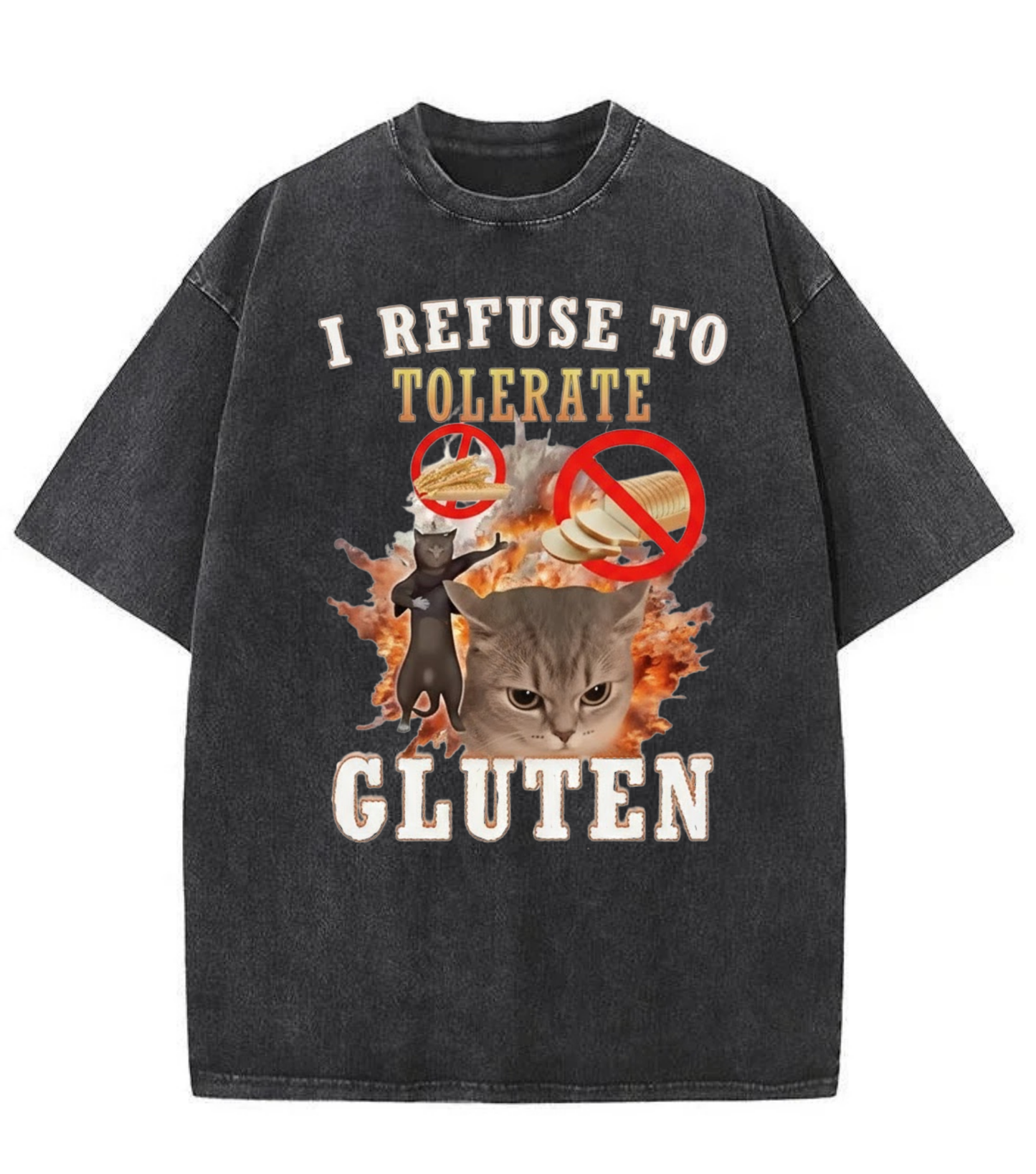 Washed Gluten Cat Graphic Streetwear Tee